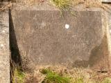 image of grave number 648045